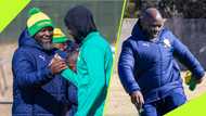 Mamelodi Sundowns coach Steve Komphela speaks his way out of a ticket