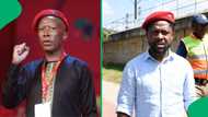 Julius Malema admits having no relationship with Mbuyiseni Ndlozi, SA blames EFF leader for tension