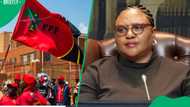 'Dishonest and irrational': EFF tears into Didiza over Ramaphosa impeachment decision