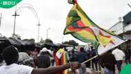 Zimbabwean nationals leave South Africa on buses as Daggafontein community demands they exit area