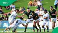Springboks coach Rassie Erasmus backs rookie Zachary Porthen for surprise debut against Japan