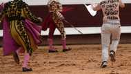 French MPs mull banning bullfighting