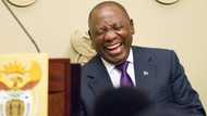 One woman's hilarious interview: "Really, Ramaphosa, are you okay", SA can't deal