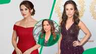 Who is David Nehdar? Get to know Lacey Chabert's husband