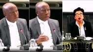 Must watch: EFF’s Julius Malema rips judge candidate Dhaya Pillay apart