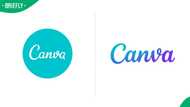Canva down: Frustrations rise as users report upload errors worldwide