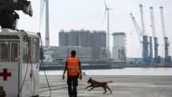 Record cocaine seizures in Antwerp as Belgium battles drug gangs