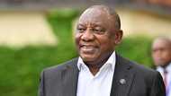 President Cyril Ramaphosa urges businesses to employ young people and enjoy the employment tax incentive