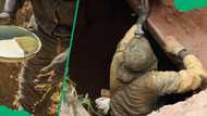 What is a zama zama? Understanding South Africa's illegal mining