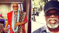 Legendary status: John Kani discovers street named after him