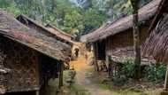 Indonesia Indigenous group requests internet blackout