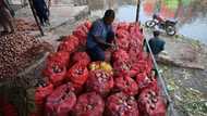 Pakistan floods fuel 'back-breaking' food inflation