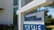 US home sales rise in February by most in a year