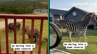 KZN man lives with wild animals in his backyard at Kragga Kamma Game Reserve, netizens SBWL