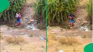 "Real-life Spider-Man": Village hero helps children cross over a stream of water, SA moved