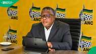 Fikile Mbalula reaffirms ANC support for Iran after air strikes, South Africans left divided