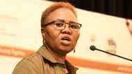 ANC's Lindiwe Zulu speaks on Zimbabwean exemption permits, says each country must look after its own citizens