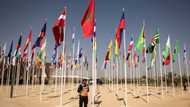 IMF says world economy resilient to shocks but 'limping'