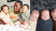 Mpumalanga Hospital praised after twin and triplet natural births were successful 1 night, Limpopo's health MEC applauds staff