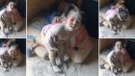 Adorable video of baby girl playing in dry cement powder smelts the hearts of SA: “The Statue of Stoutness”