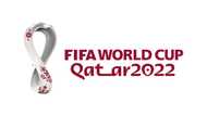 Qatar World Cup start brought forward to November 20: sources