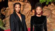 Are Chloe and Halle still together? 8 interesting facts about Boyence's protégé's