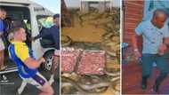Weekly Wrap: Video of snakes during feeding sparks reactions and man with strong knees gets down at groove