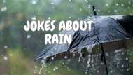 100+ jokes about rain: rib-cracking puns that will change your mood