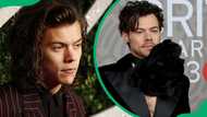 Harry Styles' balding no more: How his hair made a full comeback