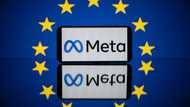 EU opens disinformation probes into Meta, TikTok