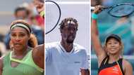 Famous black tennis players: Top male and female players you should know