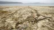 France and parts of England see driest July on record