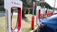 Strange bedfellows: auto rivals embrace Tesla EV chargers