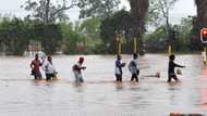 SA horrified as heavy rains cause hundreds of homes to flood in Hammanskraal: "Sad"