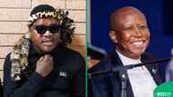 " He's a dog": Ngizwe Mchunu rages at Julius Malema while discussing viral Somali event