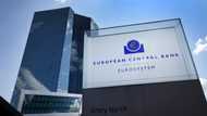 ECB to mark year of hikes with inflation still high