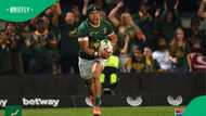 Springboks roar past Los Pumas in a thrilling Rugby Championship clash