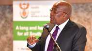 Beitbridge: Motsoaledi fuming after 17 fake Covid-19 permits found