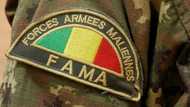 Malian and 'white' soldiers involved in 33 civilian deaths: UN experts