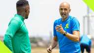 Issue Miguel Cardoso needs to address quickly at Mamelodi Sundowns