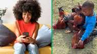 Boy bonds with chickens in heartwarming TikTok video, SA amused: "Chickens are never this still"