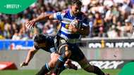 Stormers hooker hit with huge ban after Champions Cup red card