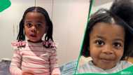 "Her communication is top tier": Adorable toddler teaches mom a lesson on independence, SA amused