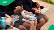 “The lunchbox that traumatised me”: SA unimpressed with mom’s choice for kids’ school lunch in viral TikTok