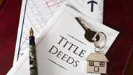 How to check title deeds in South Africa: meaning and offices