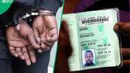 Former teacher jailed for selling fake Home Affairs documents to immigrants