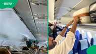 IndiGo passengers scream as power bank ignites mid-air