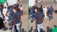 “Nothing funny here”: Mzansi reacts to video of man arrested for demanding papers from foreigners