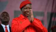 "Ok'salayo we will vote EFF": Malema's supporters behind him despite Hawks R15 million tender fraud probe