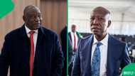 Julius Malema says Cyril Ramaphosa didn't fire Senzo Mchunu because of faction loyalty, SA disagrees